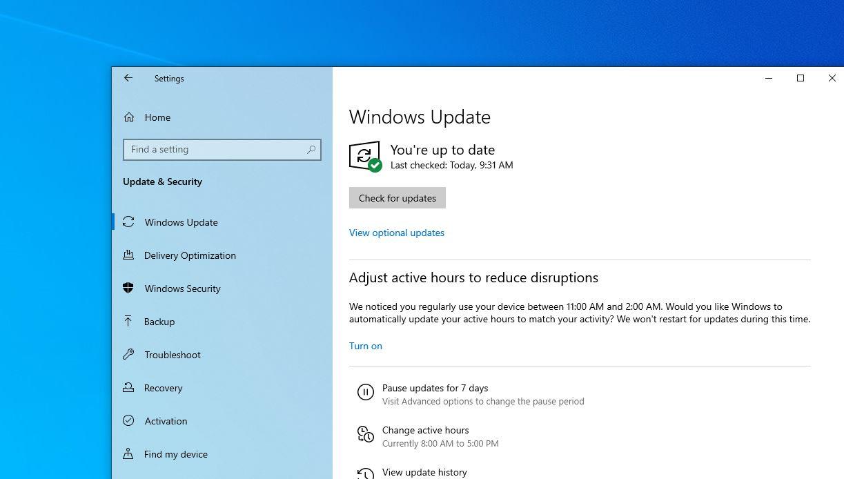 update manual windows 10 20h2