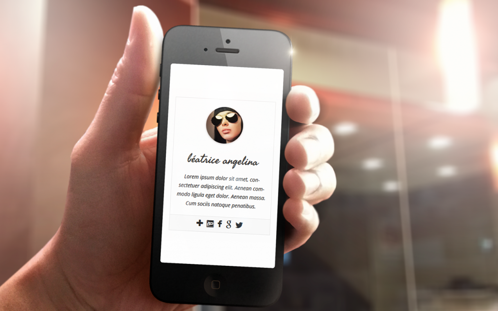 Simple Author Box phone display