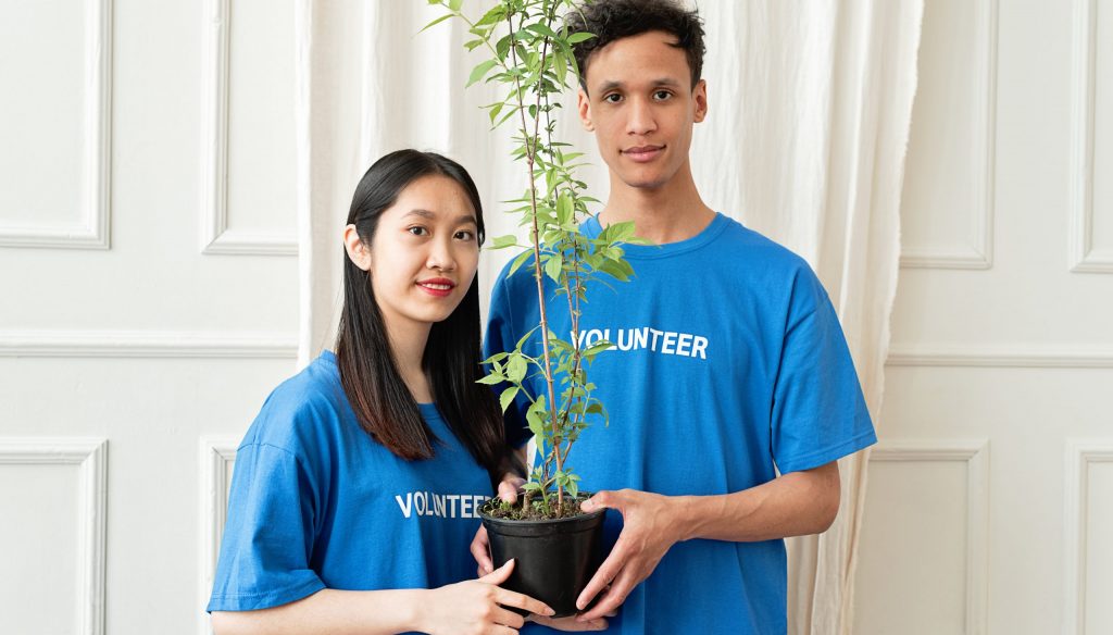 A man and a woman holding a potted green plant